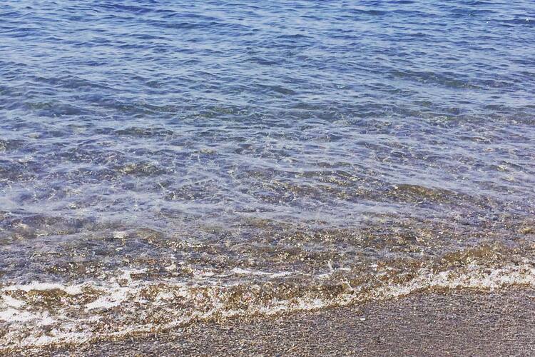 Soho Steak Wine House Photos Pictures Of Soho Steak Wine House Bodrum Zomato